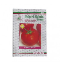 Tomato OP SHV-22 50 grams